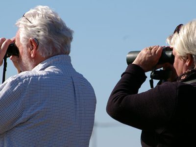 Estate planning